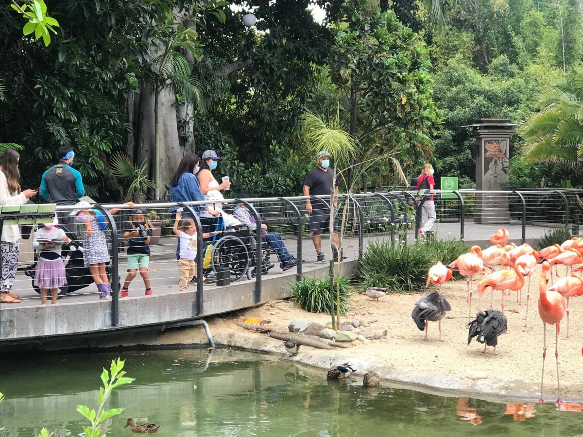 باغ وحش سن دیگو در کالیفرنیا باغ وحش سن دیگو در کالیفرنیا